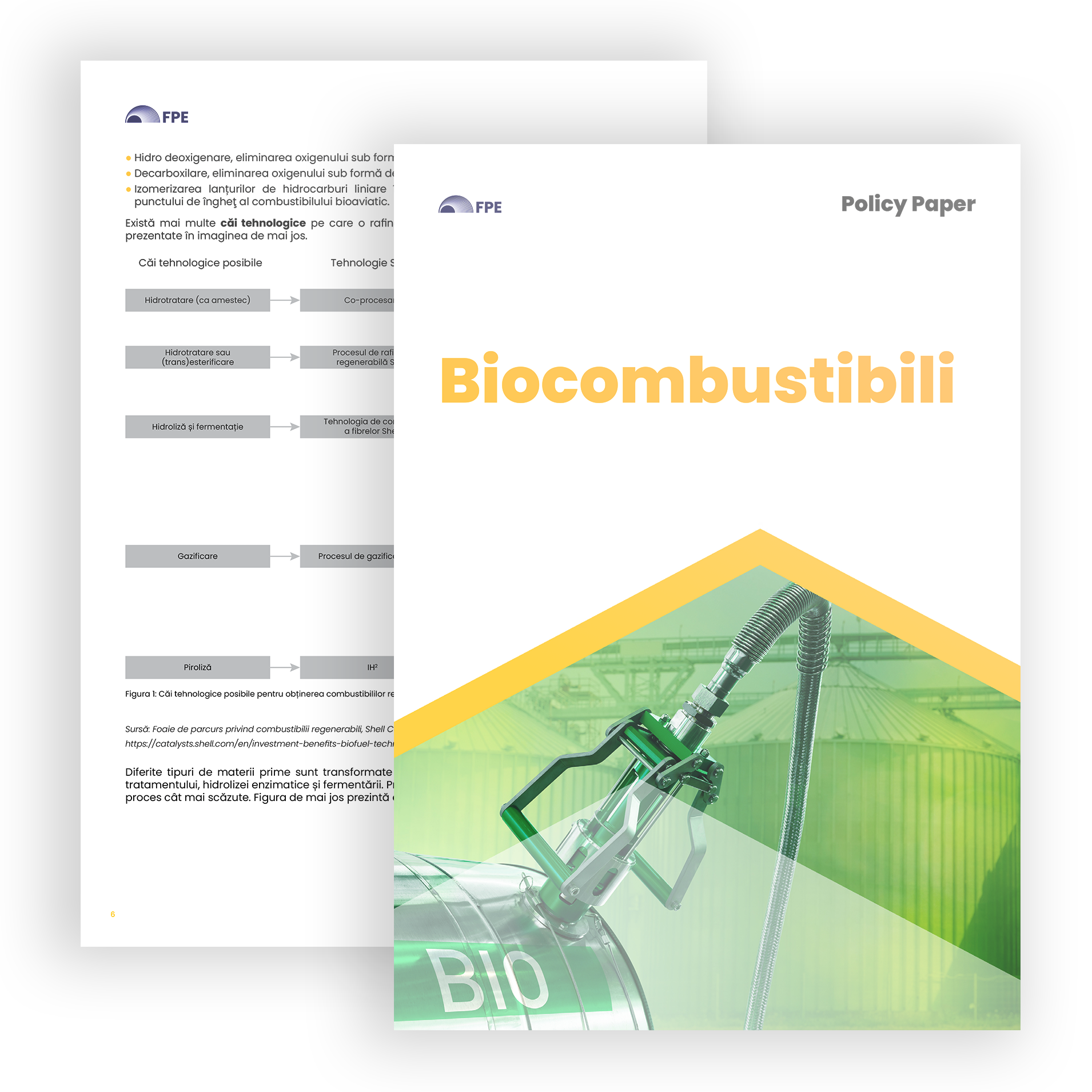 cover policy paper biocombustibili romana viitorul energiei